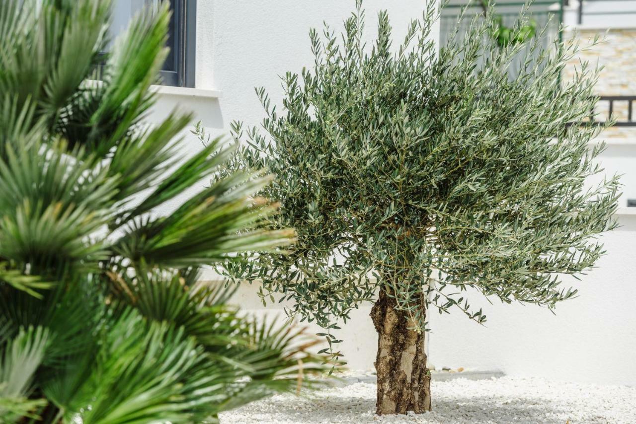Apartments Villa Dalmatia Trogir Eksteriør bilde